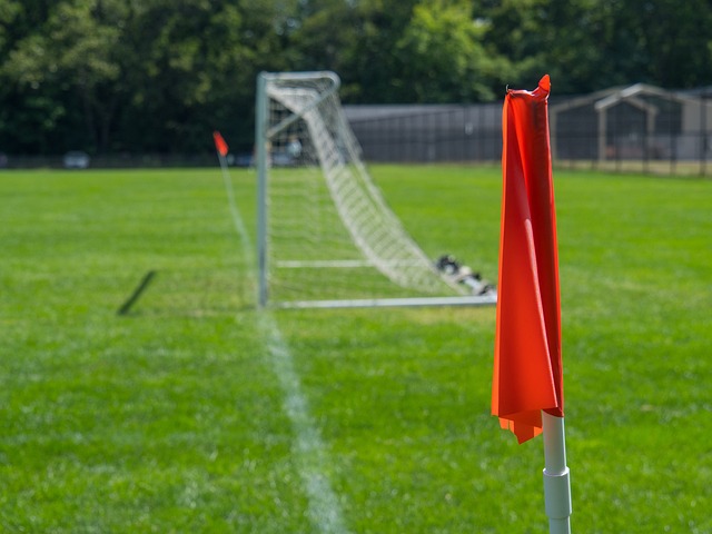 这个结果也 这个结果也