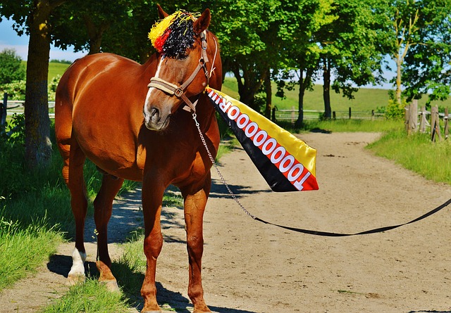 他积极参与 他积极参与