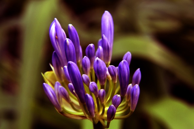 这一称号更 这一称号更