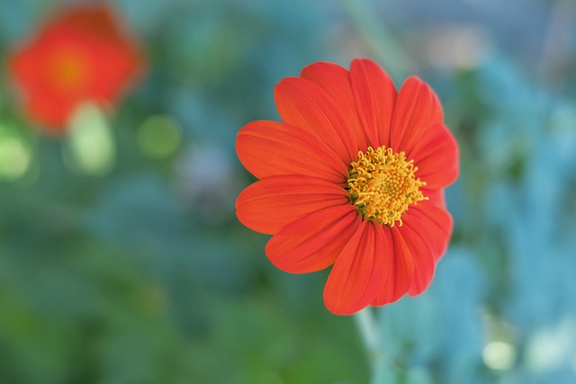 在上赛季成 在上赛季成