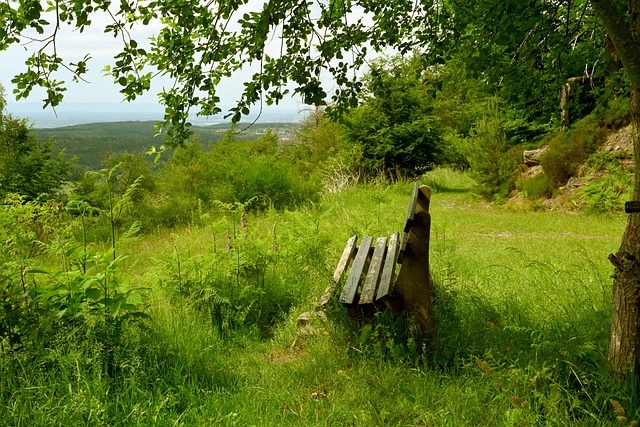 自己的风格 自己的风格