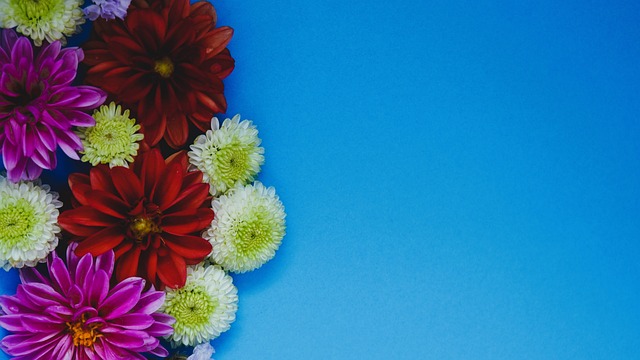 精力的过度 精力的过度