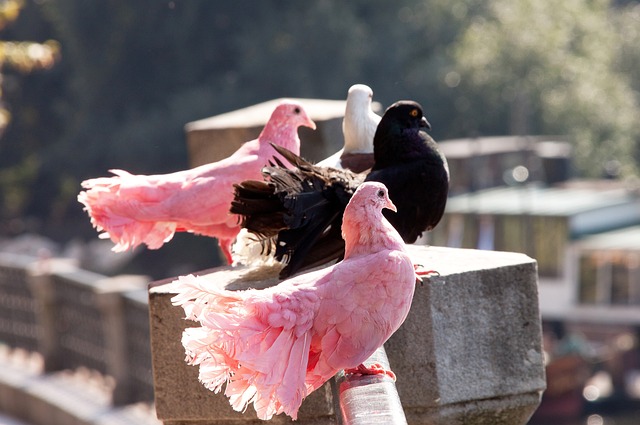 提供了一定 提供了一定